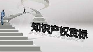 企業(yè)實(shí)行知識(shí)產(chǎn)權(quán)貫標(biāo)后 作用竟有這么大！